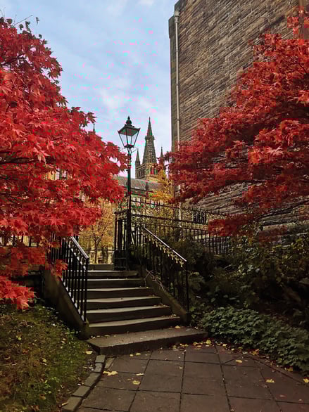 Autumn trees and steps leading to a courtyard at the University of Glasgow
