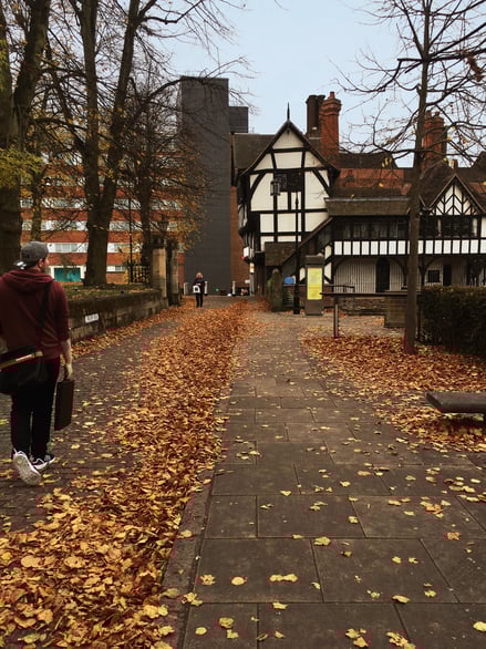 Autumn pathway with fallen leaves near historic buildings