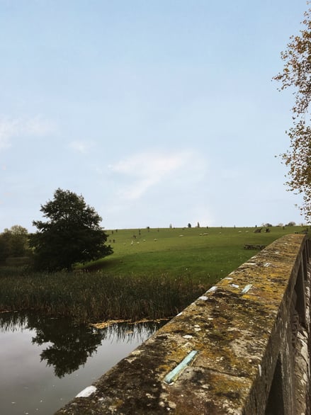 Scenic countryside with river and grazing sheep near Coventry