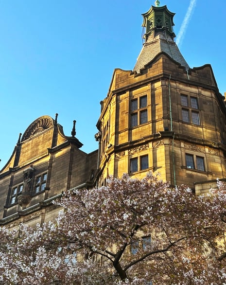 View of a historic stone building with tower and blossom tree in Sheffield