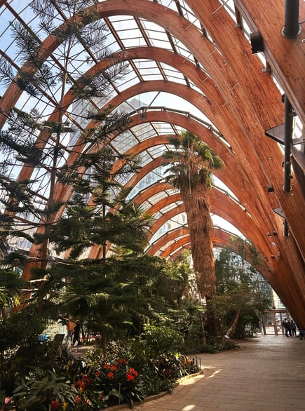 Interior of Sheffield Winter Garden with tropical plants and glass roof