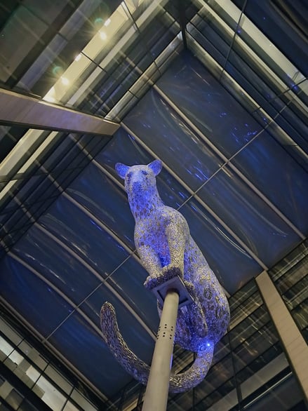 An image of a leopard named Barry in Aberdeen.