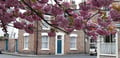 Hampden street, City centre, York - Image 1 Thumbnail