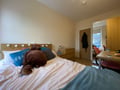 Roath, Plasnewydd, Cardiff - Image 2 Thumbnail