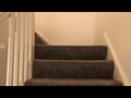 Osborne Road, Jesmond, Newcastle - Property Video Thumbnail