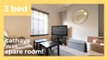 Roath, Cathays, Cardiff - Property Video Thumbnail