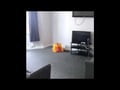 Roath, Plasnewydd, Cardiff - Property Video Thumbnail