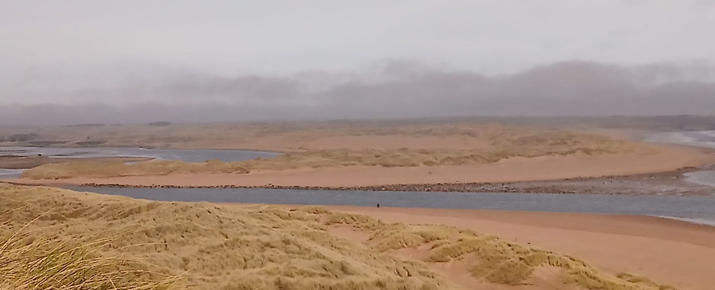 An image of Newburgh seal beach in Aberdeen.