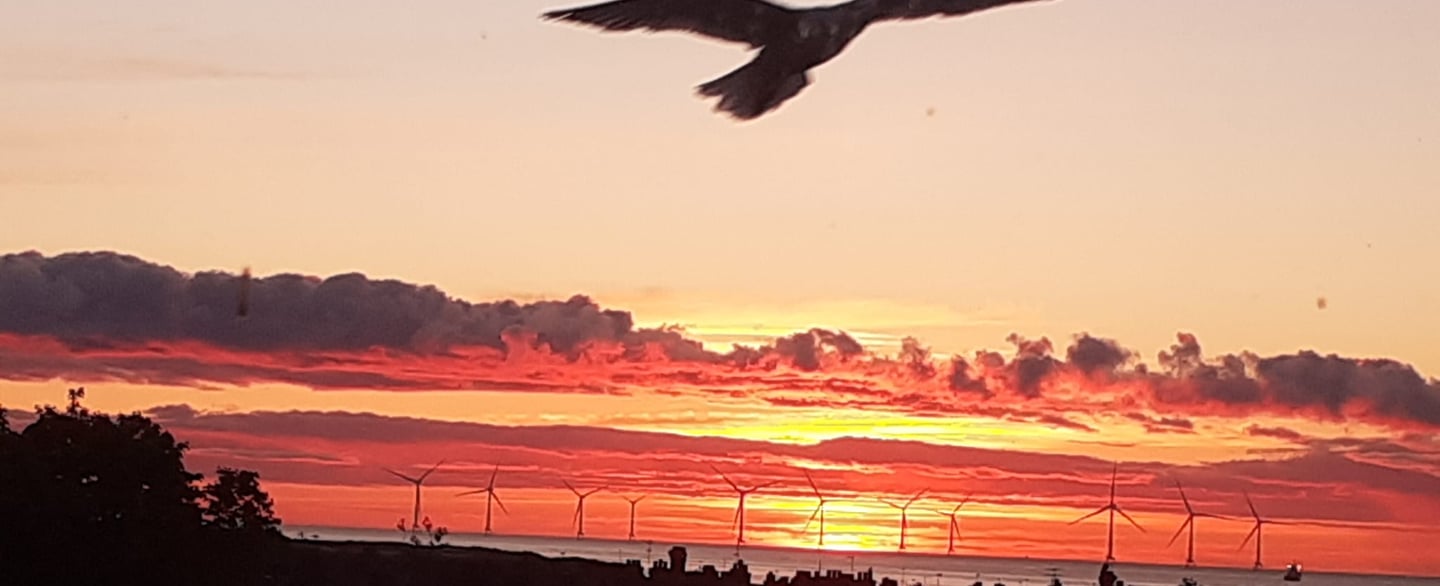 An image of a sunset in Aberdeen