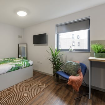 Premium Studio - Image 3