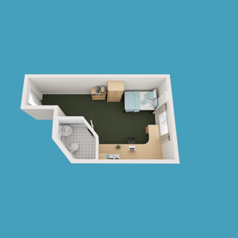 Silver Plus - Image 5