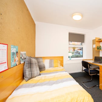 Standard - Image 1