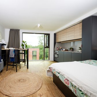 Premium - Image 1