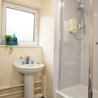 Standard Plus - Image 3