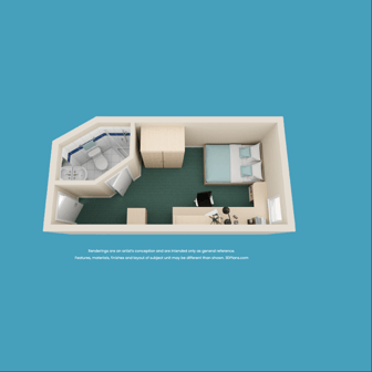 Silver - Image 6