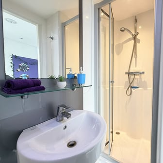 Deluxe En Suite - Image 7