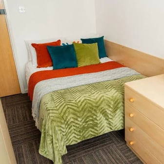 Standard - Image 1