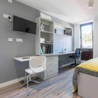 Standard Studio - Image 1