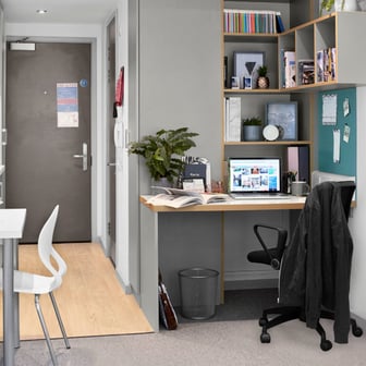 Studio Silver Deluxe Accessible - Image 2