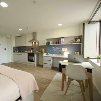 Silver Studio Accessible - Image 8