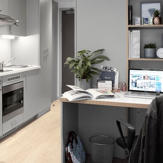 Studio Silver Deluxe Accessible - Image 3