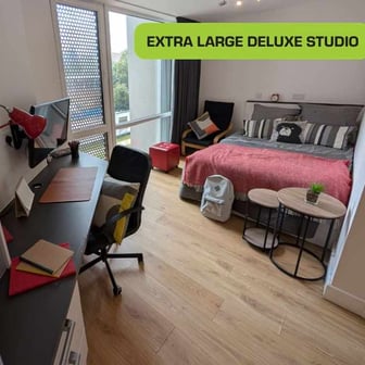 Penthouse Large Deluxe Studio - Image 8