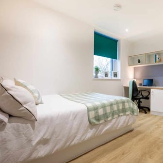 Premium Micro Studio - Image 1