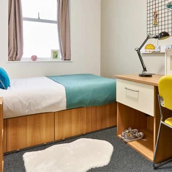 Shared Apartment Classic - Image 2
