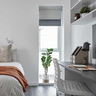 Premium Plus Studio - Image 1