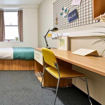 Shared Apartment Classic - Image 1