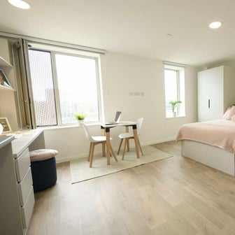 Silver Studio Accessible - Image 1
