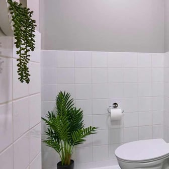 Studio Penthouse Plus - Image 6