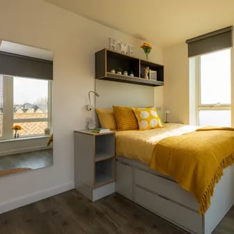 Gold Shared House - Image 1