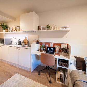 Deluxe Plus Studio Dual Occupancy - Image 2