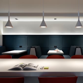 Study Area