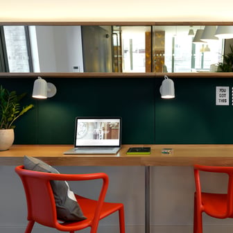 Study Area