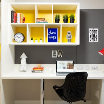 Study Area