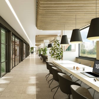 Study Area