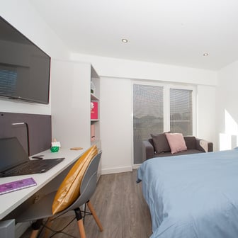 Bronze Plus Studio - Image 2