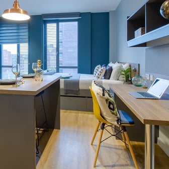 Luxury Plus Studio - Image 2