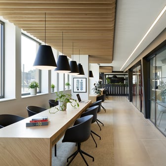Study Area