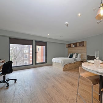 Luxury Plus Studio - Image 2