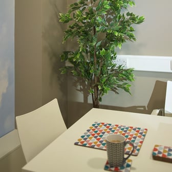 Classic Plus Studio - Image 18