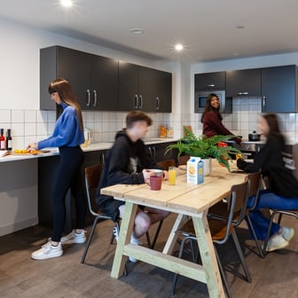 true Apartment - Image 4