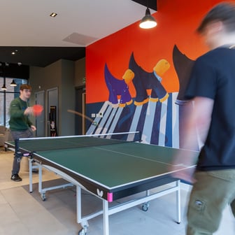 true Superior Studio - Image 7