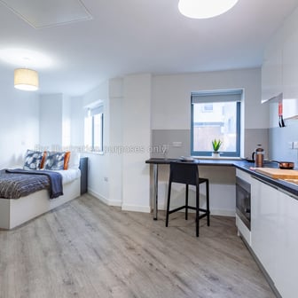 Premium Accessible Studio - Image 1