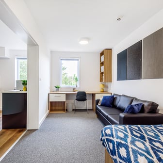 Bedroom, living and study space