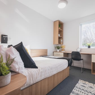 Bedroom and study space