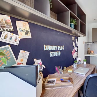Luxury Plus Studio - Image 3