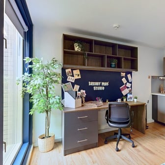 Luxury Plus Studio - Image 4
